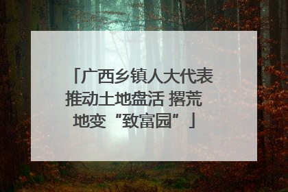 广西乡镇人大代表推动土地盘活 撂荒地变“致富园”
