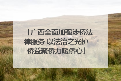 广西全面加强涉侨法律服务 以法治之光护侨益聚侨力暖侨心
