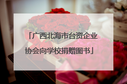 广西北海市台资企业协会向学校捐赠图书