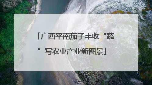广西平南茄子丰收“蔬”写农业产业新图景