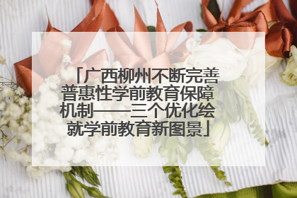 广西柳州不断完善普惠性学前教育保障机制——三个优化绘就学前教育新图景