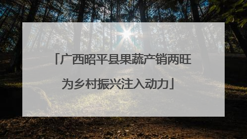 广西昭平县果蔬产销两旺 为乡村振兴注入动力