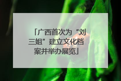 广西首次为“刘三姐”建立文化档案并举办展览