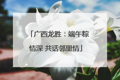 广西龙胜：端午粽情深 共话邻里情