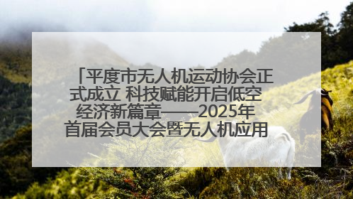 平度市无人机运动协会正式成立 科技赋能开启低空经济新篇章——2025年首届会员大会暨无人机应用发展论坛成功举办