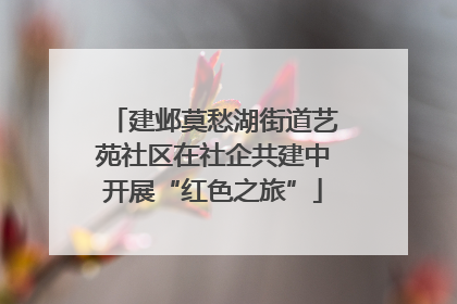建邺莫愁湖街道艺苑社区在社企共建中开展“红色之旅”