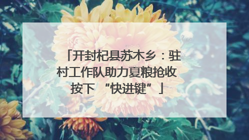 开封杞县苏木乡：驻村工作队助力夏粮抢收按下 “快进键”