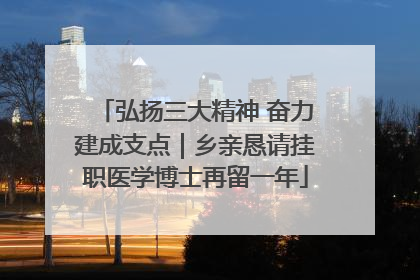 弘扬三大精神 奋力建成支点｜乡亲恳请挂职医学博士再留一年
