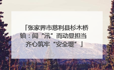 张家界市慈利县杉木桥镇：闻“汛”而动显担当 齐心筑牢“安全堤”