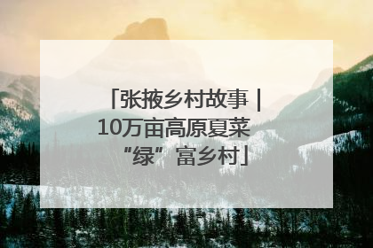 张掖乡村故事｜10万亩高原夏菜“绿”富乡村
