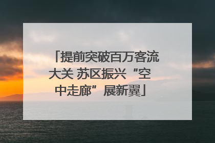 提前突破百万客流大关 苏区振兴“空中走廊”展新翼