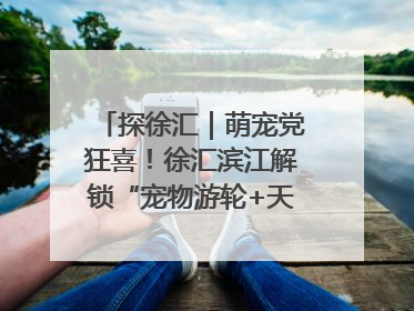 探徐汇｜萌宠党狂喜！徐汇滨江解锁“宠物游轮+天台乐园”双玩法
