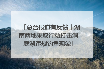 总台报道有反馈丨湖南两地采取行动打击洞庭湖违规钓鱼现象