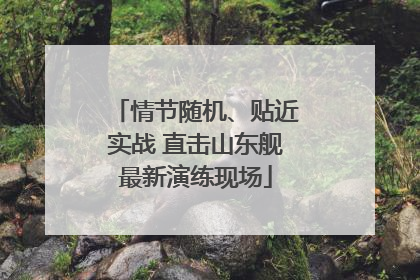 情节随机、贴近实战 直击山东舰最新演练现场
