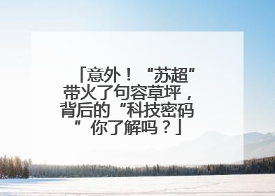 意外！“苏超”带火了句容草坪，背后的“科技密码”你了解吗？