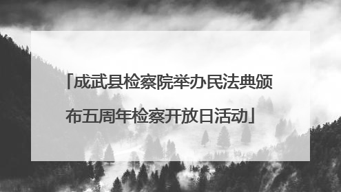 成武县检察院举办民法典颁布五周年检察开放日活动