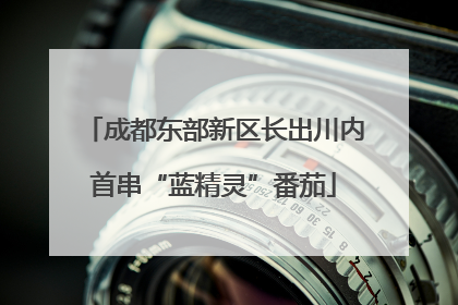 成都东部新区长出川内首串“蓝精灵”番茄