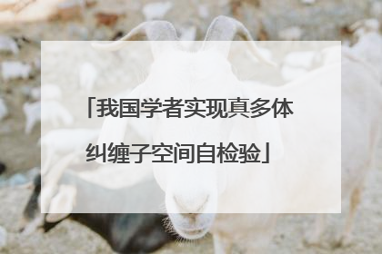 我国学者实现真多体纠缠子空间自检验
