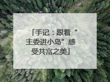 手记：跟着“主委进小岛”感受共富之美