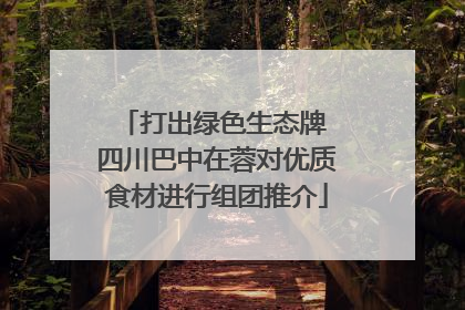 打出绿色生态牌 四川巴中在蓉对优质食材进行组团推介