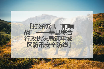打好防汛“前哨战”——莘县综合行政执法局筑牢城区防汛安全防线