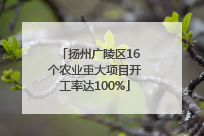 扬州广陵区16个农业重大项目开工率达100%
