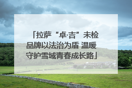 拉萨“卓·吉”未检品牌以法治为盾 温暖守护雪域青春成长路