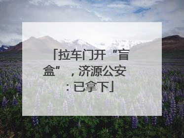 拉车门开“盲盒”，济源公安：已拿下