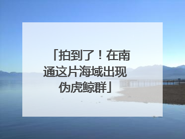 拍到了！在南通这片海域出现伪虎鲸群