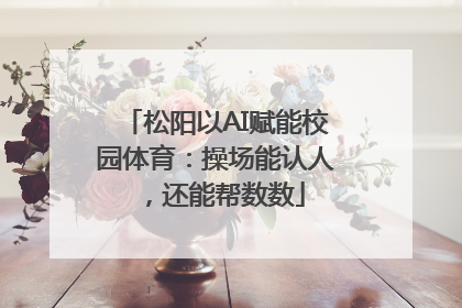 松阳以AI赋能校园体育：操场能认人，还能帮数数