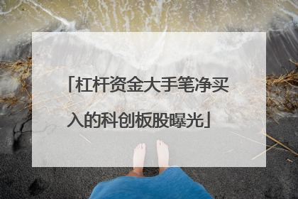 杠杆资金大手笔净买入的科创板股曝光