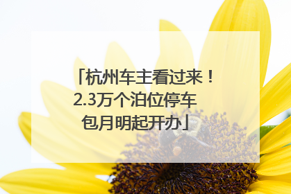 杭州车主看过来！2.3万个泊位停车包月明起开办