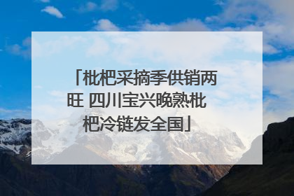 枇杷采摘季供销两旺 四川宝兴晚熟枇杷冷链发全国