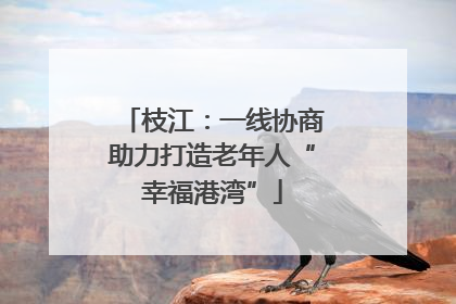 枝江：一线协商助力打造老年人“幸福港湾”