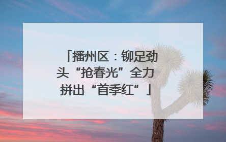 播州区：铆足劲头“抢春光”全力拼出“首季红”
