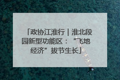 政协江淮行｜淮北段园新型功能区：“飞地经济”拔节生长