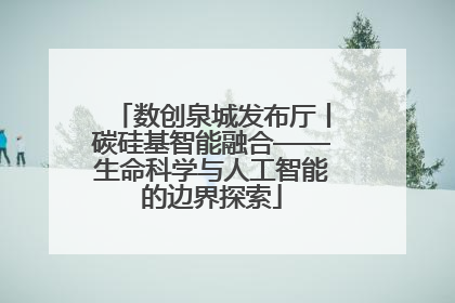 数创泉城发布厅丨碳硅基智能融合——生命科学与人工智能的边界探索