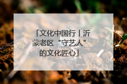 文化中国行丨沂蒙老区“守艺人”的文化匠心