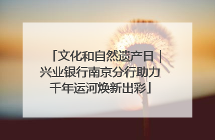 文化和自然遗产日｜兴业银行南京分行助力千年运河焕新出彩
