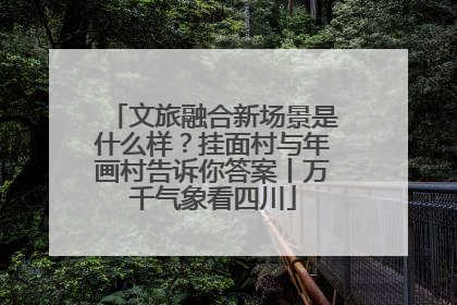 文旅融合新场景是什么样？挂面村与年画村告诉你答案丨万千气象看四川
