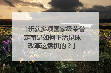 斩获多项国家级荣誉 定南是如何下活足球改革这盘棋的？