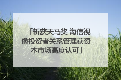 斩获天马奖 海信视像投资者关系管理获资本市场高度认可