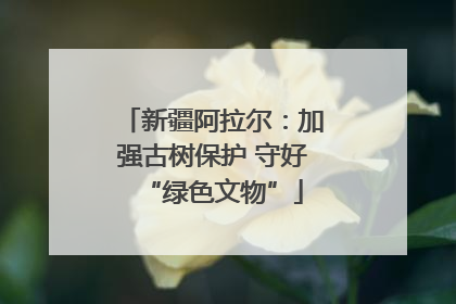 新疆阿拉尔：加强古树保护 守好“绿色文物”