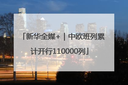 新华全媒+｜中欧班列累计开行110000列