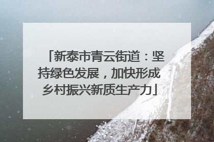 新泰市青云街道：坚持绿色发展，加快形成乡村振兴新质生产力