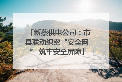 新蔡供电公司：市县联动织密“安全网” 筑牢安全屏障