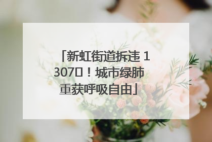 新虹街道拆违 1307㎡！城市绿肺重获呼吸自由