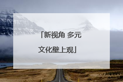 新视角 多元文化壁上观
