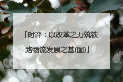 时评：以改革之力筑铁路物流发展之基(图)