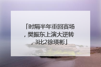 时隔半年重回赛场，樊振东上演大逆转，3比2徐瑛彬